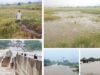Rains unleash widespread devastation in Palamuru