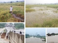 Rains unleash widespread devastation in Palamuru