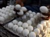 Egg price jumps to Rs 8.5 per piece | Hyderabad News