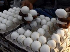 Egg price jumps to Rs 8.5 per piece | Hyderabad News