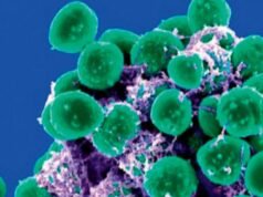 Study Maps Antibiotic Resistance Across Open Drains in Hyderabad