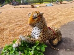 Telangana farmer brings ‘Tiger’ to protect field from monkeys, dogs
