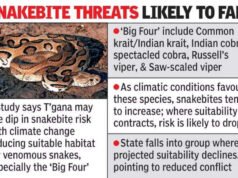 Climate warming may shrink habitat loss for deadly ‘big four’ | Hyderabad News