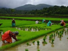 FAIFA proposes a four-pronged strategy for transition of Indian agriculture | Vijayawada News