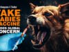 Watch: Fake Rabies Vaccine: How an Alert from Hyderabad Became a Global Issue