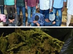 Six arrested as excise officials seize over 2.7 kg ganja in Dhoolpet and Secunderabad