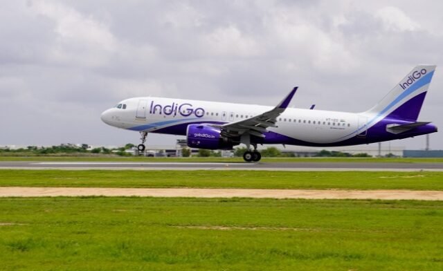 indigo11764991950.jpg